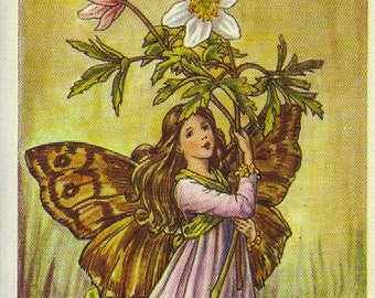 The Windflower Fairy Cicely Mary Barker Flower Fairies of the Spring Vintage book page