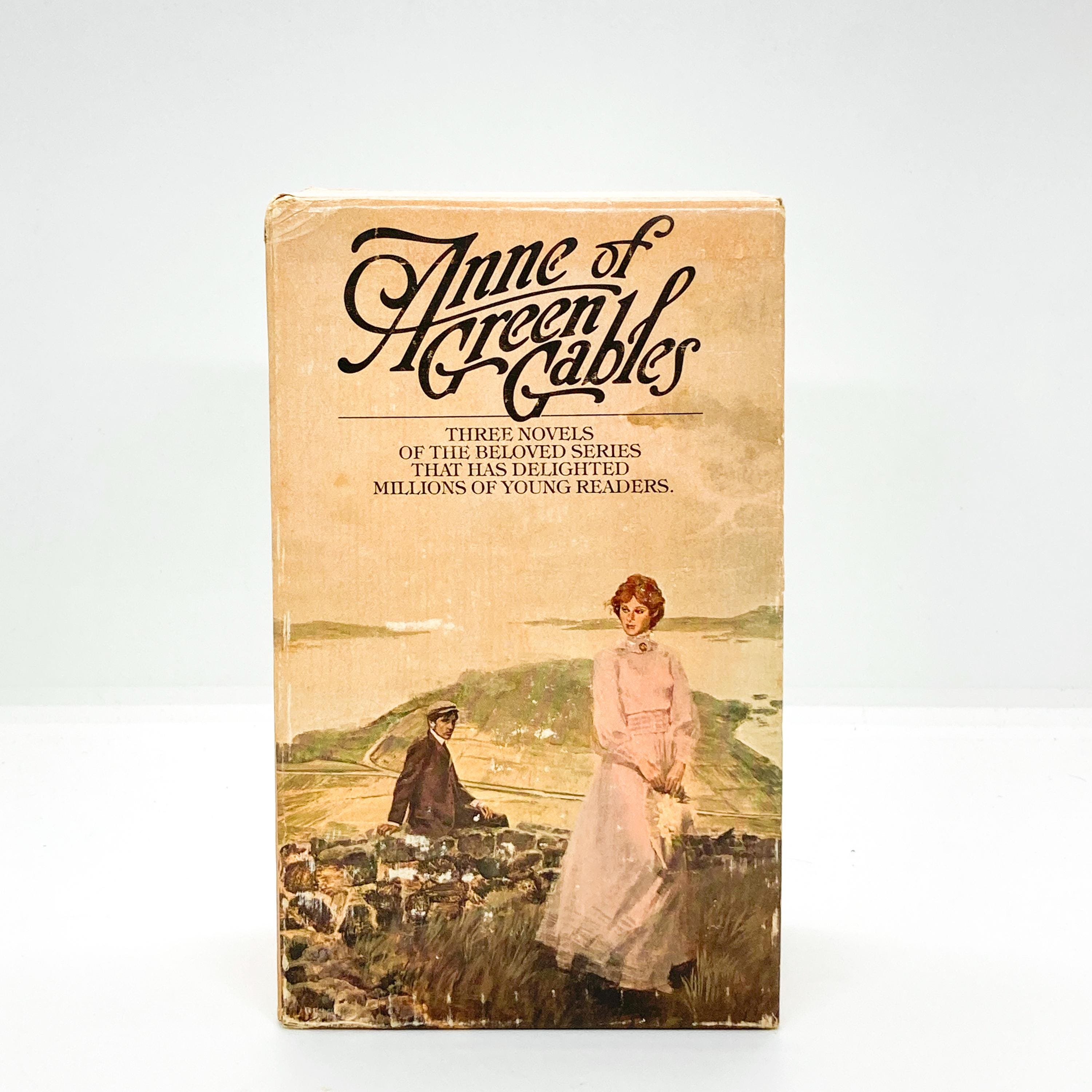 Anne of Green Gables Box Set Vintage - Etsy