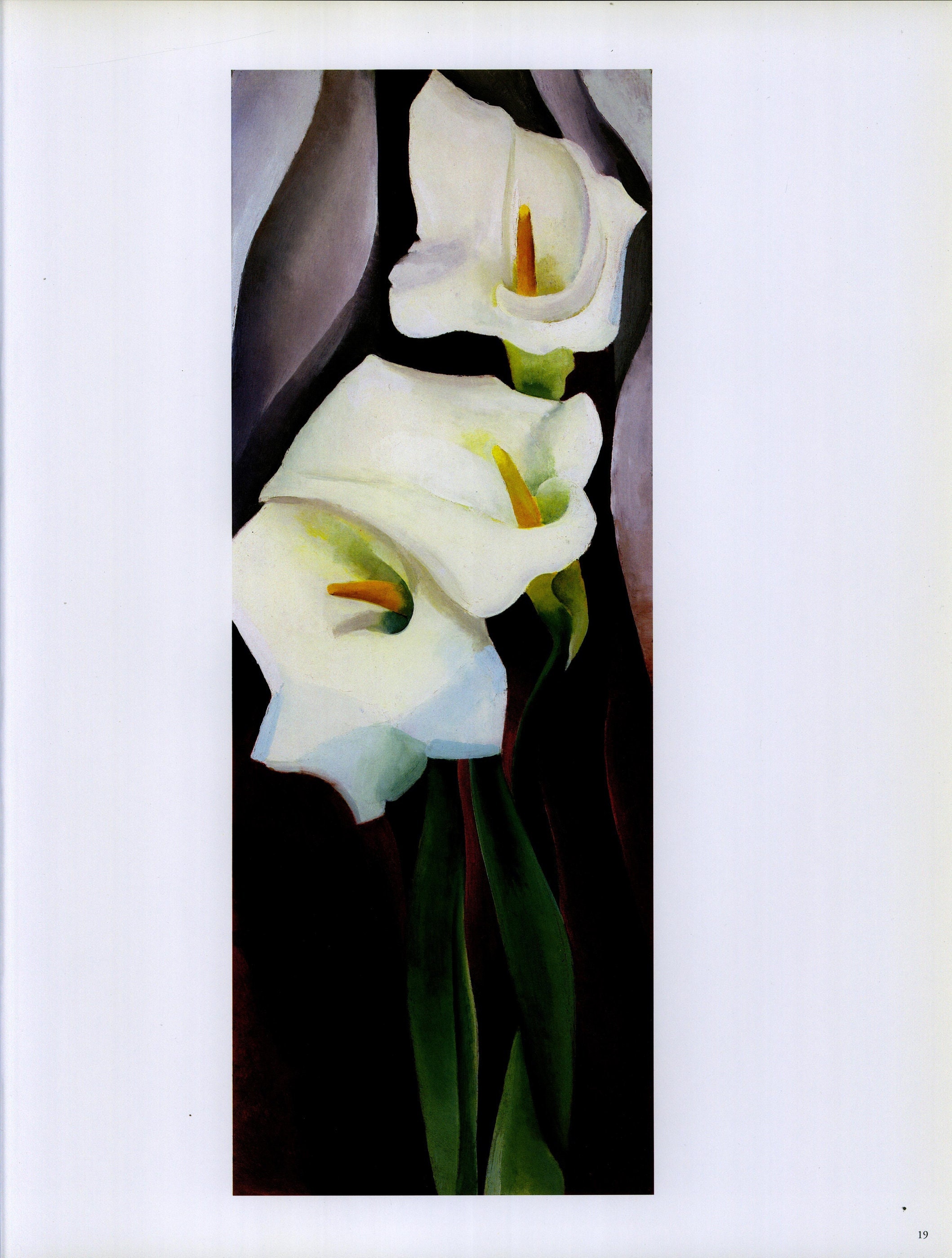 LIS CALLA｜“IN HER GREATEST YEARS” Georgia O'keeffe Print 192 