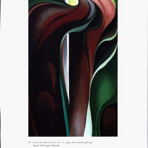 K&ouml;nnte beinhalten: Abstrakte Malerei einer Blume mit dunkelroten, gr&uuml;nen und wei&szlig;en Bl&uuml;tenbl&auml;ttern. Das Gem&auml;lde tr&auml;gt den Titel "Jack-in-the-Pulpit No. V" und wurde 1930 von Georgia O'Keeffe geschaffen.