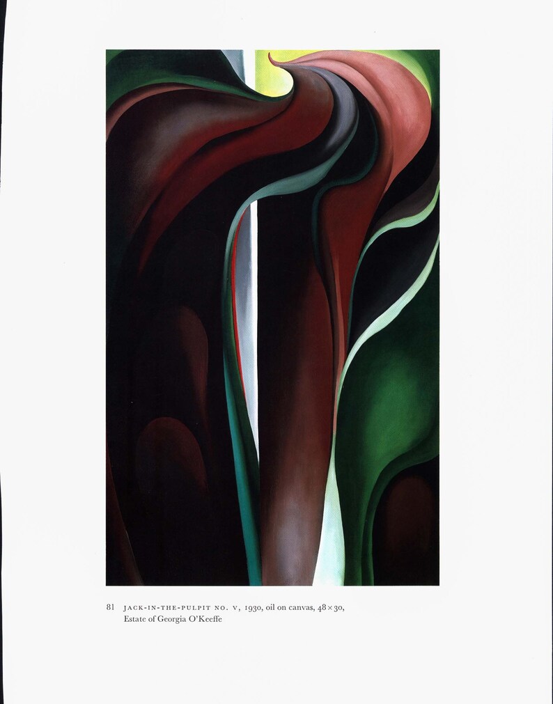 K&ouml;nnte beinhalten: Abstrakte Malerei einer Blume mit dunkelroten, gr&uuml;nen und wei&szlig;en Bl&uuml;tenbl&auml;ttern. Das Gem&auml;lde tr&auml;gt den Titel "Jack-in-the-Pulpit No. V" und wurde 1930 von Georgia O'Keeffe geschaffen.
