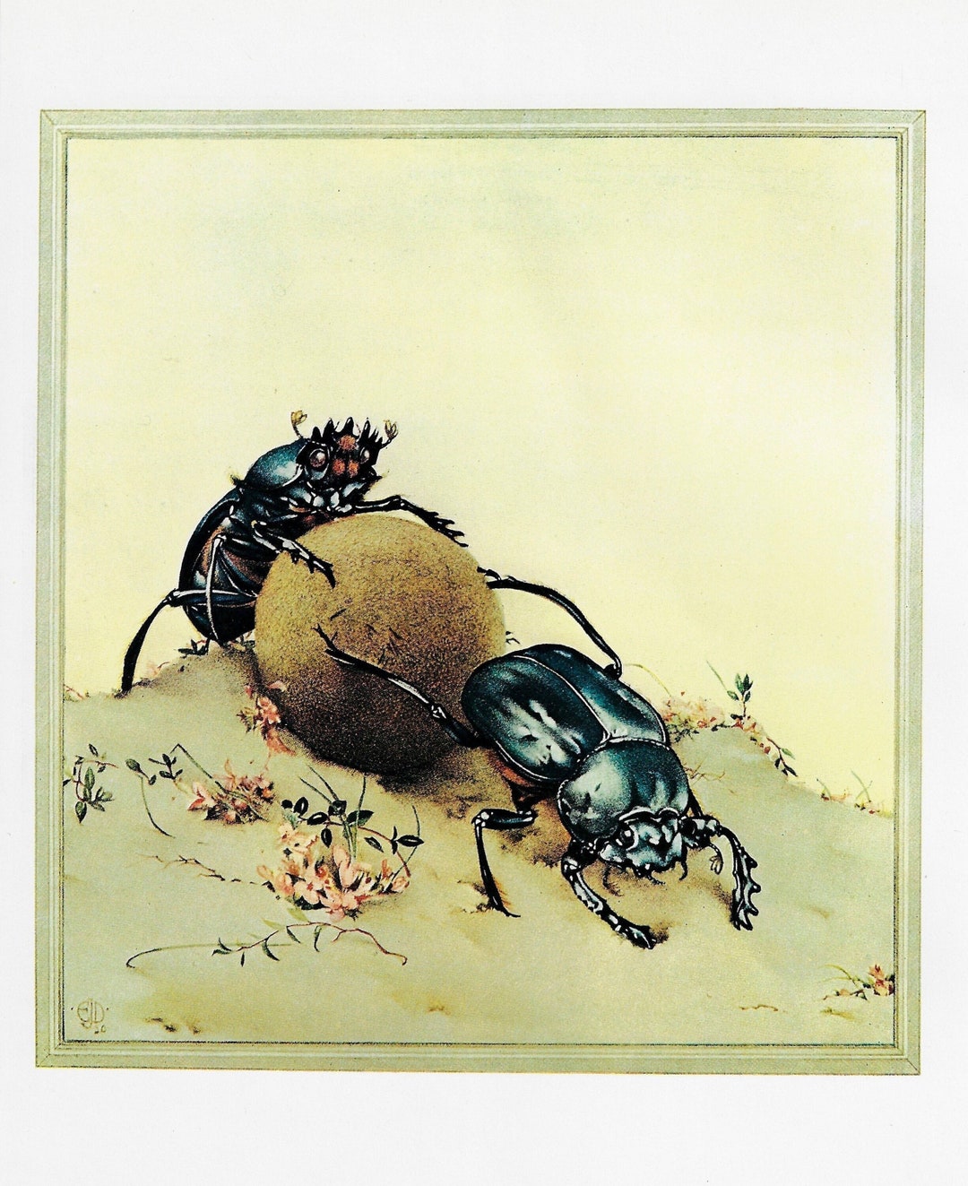 Edward Julius Detmold [1921] 