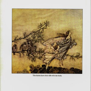 Arthur Rackham Fairies Art Book Page: Kensington Gardens Vintage Print ...