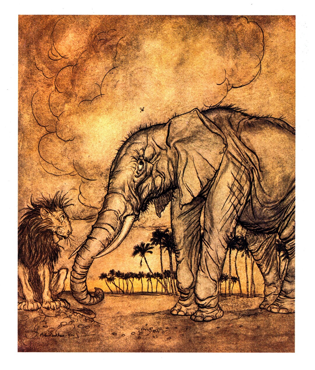 Aesop's Fables Arthur Rackham 1912 the Lion - Etsy