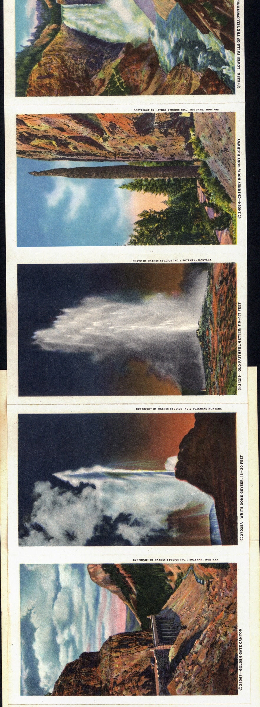 c.1958 16 full-color hand-tinted pictures LIKE NEW Yellowstone Park vintage Hayne's Souvenir Folder