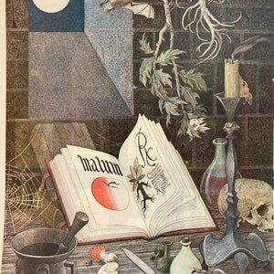 May include: An open book with the word "malum" on the cover, surrounded by a variety of objects including a skull, a bat, a spider web, a mortar and pestle, a knife, and a bottle. The book is open to a page with an illustration of an apple and a tree root.