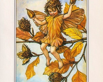 The Hawthorn Fairy / The Beechnut Fairy Cicely Mary Barker Flower Fairies of the Autumn Vintage book page Nursery Decor