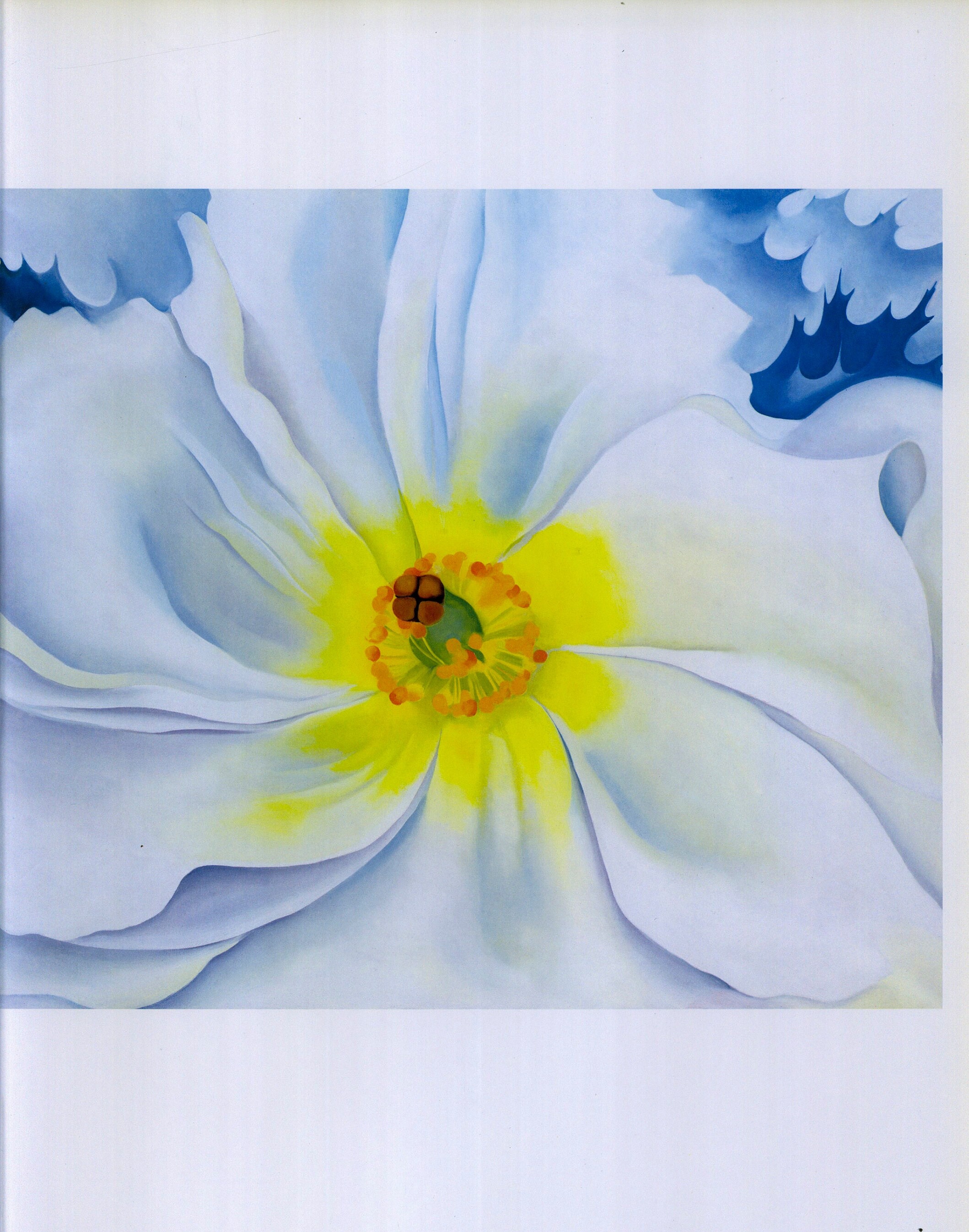 洋書 Georgia O'Keeffe Georgia O' Keeffe Abstraction White Rose Botanic Flowers Art