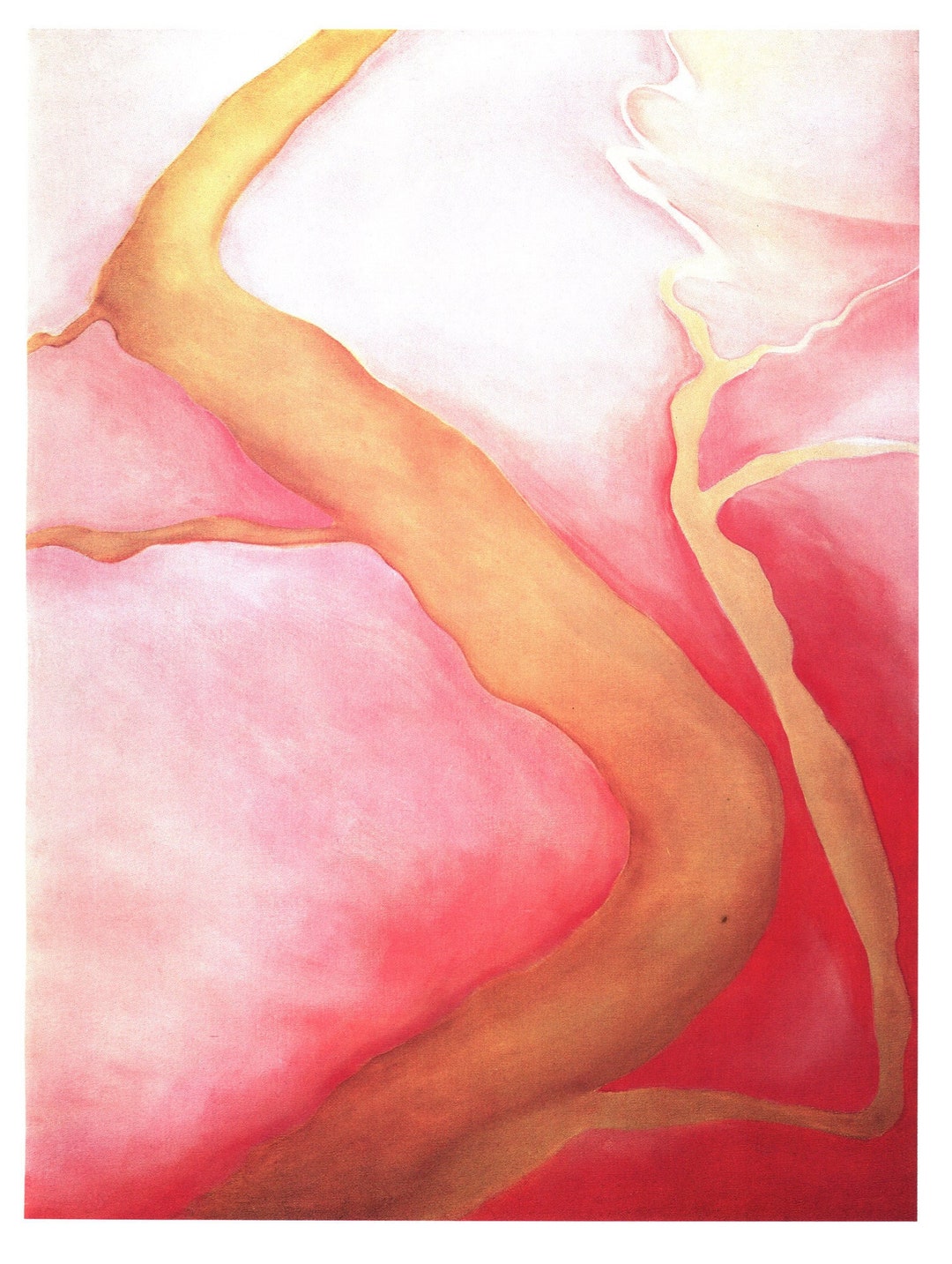 洋書 Georgia O'Keeffe il_1080xN.3753555776_c884.jpg