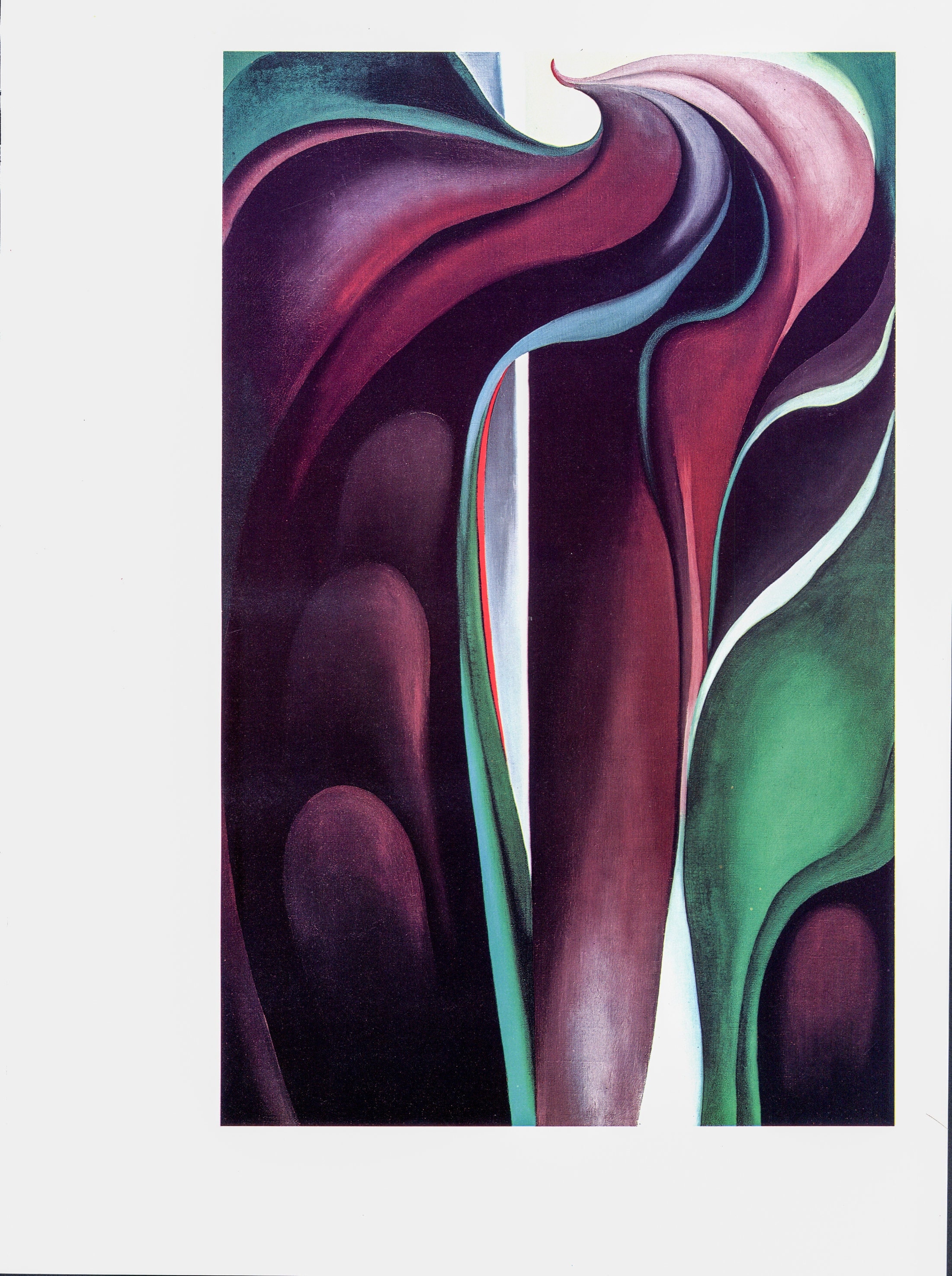 一番の贈り物 O'keeffe Georgia Print  1930 洋書