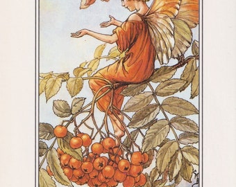 The Mountain Ash Fairy Cicely Mary Barker Flower Fairies of the Autumn Vintage book page