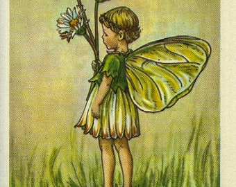 The Daisy Fairy Cicely Mary Barker Flower Fairies of the Spring Vintage book page Nursery Decor