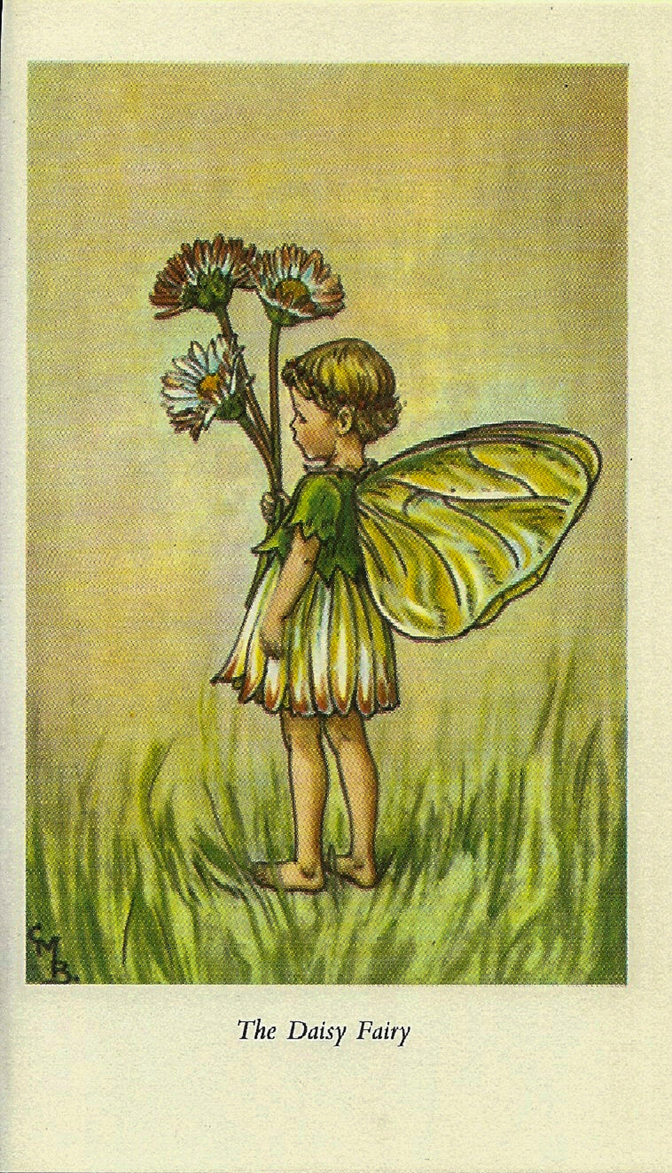 Daisy fairy deals