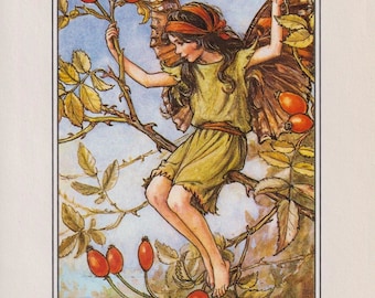 The Rose Hip Fairy Cicely Mary Barker Flower Fairies of the Autumn Vintage book page