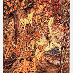 Arthur Rackham Print: A Wonder Book Illustration, 1922 Vintage Art