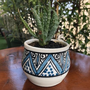 Peut inclure: Une petite plante d'aloe vera en pot dans un pot en céramique blanc avec des motifs géométriques bleus et noirs. Le pot a une forme arrondie et un large bord. La plante a des feuilles vertes et épineuses.