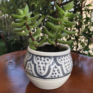 Peut inclure: Une petite plante succulente dans un pot en céramique blanc et bleu à motifs. Le pot a une forme arrondie avec un motif décoratif. La plante succulente a des feuilles vertes et des tiges brunes. Le pot est posé sur une surface brune.