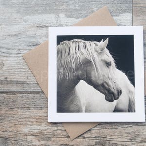 FLACHS, Kunstkarte, Grußkarte, Pferdefotografie, Lusitano Hengst
