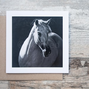 Carte d'art équin, STILO, carte de voeux, photographie de cheval, étalon andalou, photographie noir et blanc
