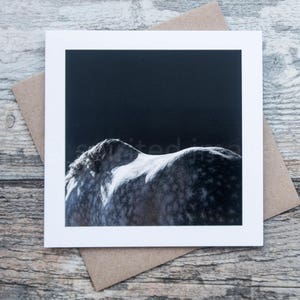 Carte d'art équin, SIERRA, Carte de voeux, Photographie de cheval, Étalon andalou, Abstrait