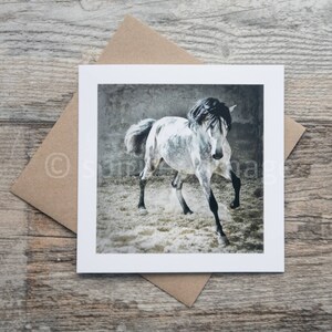 Carte d'art équin, VIDA, Carte de voeux, Photographie de cheval, Étalon andalou