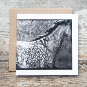 Carte d'art équin, DOMINO, Carte de voeux, Photographie de cheval, Étalon andalou, Abstrait