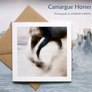 Carte d'art équine SPRAY, chevaux camarguais, carte de voeux cheval, photographie équine, équine nautique