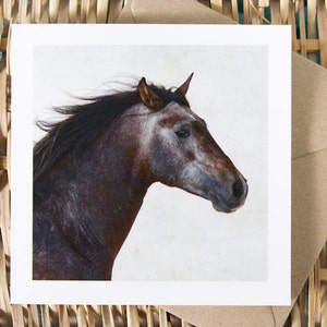 Carte de voeux d'art équin, FUEGO, photographie de cheval, rustique, couleurs d'automne