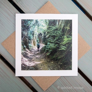 Biglietto d'auguri DORSET, HOLLOWAY, Symondsbury, Bridport, fotografia scenica, paesaggio, vicoli nascosti magici