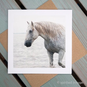 HERCULES, chevaux camarguais, carte d'art, carte de voeux cheval, photographie équine, équine nautique
