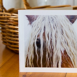Carte d'art équin, BLONDE, carte de voeux, photographie de cheval, rustique, couleurs d'automne