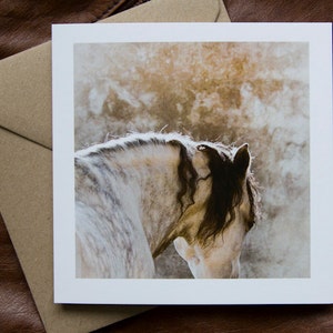 Carte d'art équin, ANDALOUS - MARCO, Carte de voeux, Photographie de cheval, Rustique, couleurs d'automne