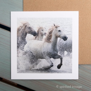 THUNDER, Chevaux camarguais, Carte d'art, Carte de voeux cheval, Photographie équine, Équin nautique