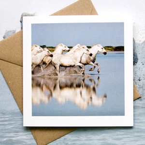 Carte de Voeux Cheval LONG RUN, Chevaux Camargue, Carte d'Art, , Photographie Equine, Equine Nautique