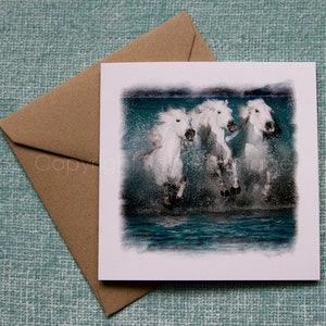 Carte de Voeux Cheval BLUE CREST, Chevaux Camargue, Carte d'Art, Photographie Equine, Equine Nautique