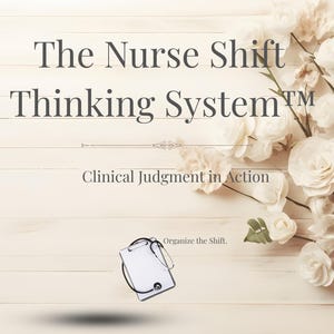 看護師交代思考システム、看護師のための臨床判断ツール、クリティカルシンキングプロンプト、担当看護師サポート、看護ブレインシートデジタル