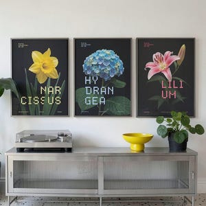 Contemporary Botanical Floral Wall Art Print Set, Minimalist Flower, Modern Botanical, Narcissus Hydrangea Lily Decor, Digital Download