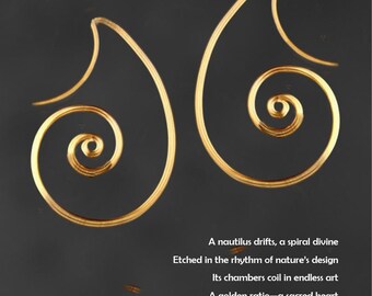 Shell Spiral teardrop earrings,  14k gold filled, Nautilus shell, free US shipping