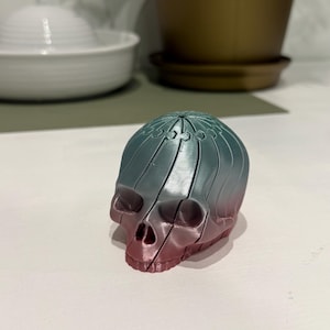 以下が含まれることがあります： ティールと赤の色合いの3Dプリントされた頭蓋骨。 頭蓋骨はセグメント化されており、各セクションがわずかにずれており、層状の効果を生み出しています。 色のグラデーションは上部のティールから下部の赤に変化します。