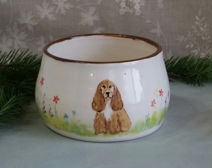 Dry Ear Dog Bowl, Medium Long Eared Dog Water Bowl for Spaniels, Hand