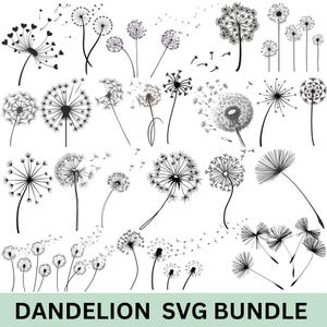 May include: A collection of black and white dandelion illustrations in various stages of bloom, with some seeds blowing away. The text "DANDELION SVG BUNDLE" is at the bottom. These graphics are suitable for digital design projects.