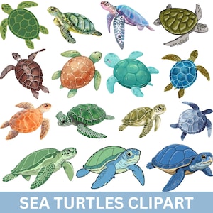 Puede incluir: Una colección de ilustraciones de clipart de tortugas marinas coloridas. Las tortugas presentan varios patrones y colores de caparazón, incluyendo verde, azul, marrón y naranja. El texto "SEA TURTLES CLIPART" está en la parte inferior.