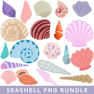 May include: A collection of colorful seashell illustrations in various shapes and sizes. The shells are in shades of pink, blue, orange, and purple, with detailed patterns. The text "SEASHELL PNG BUNDLE" is at the bottom.