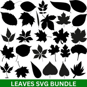 Może przedstawiać: Kolekcja czarnych sylwetek liści o różnych kształtach, w tym klonów, dębów i innych typów liści. Tekst "LEAVES SVG BUNDLE" jest wyświetlany na zielono u dołu obrazu.