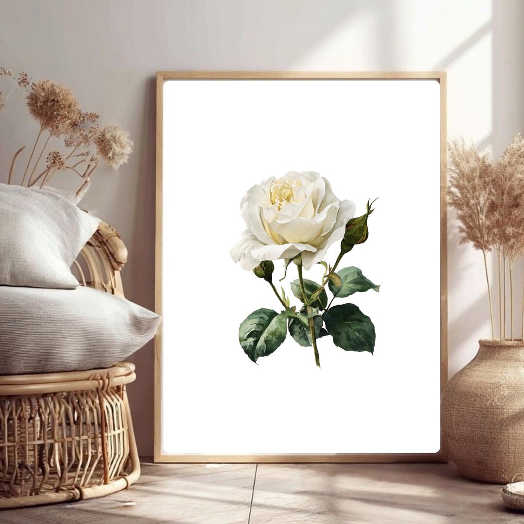 White Roses Color Art White Rose Watercolor Art Print - Botanical Illustration for Elegant ...