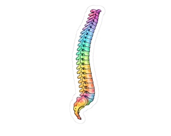 Puede incluir: Una colorida pegatina con una ilustración de acuarela de una columna vertebral humana. La columna vertebral está representada en un arcoíris de colores, incluyendo rosa, azul, verde, amarillo y naranja. Es un diseño médico o anatómico.