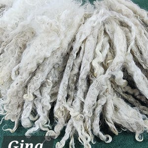 May include: Close-up of raw, unprocessed wool fibers in shades of white and gray. The fibers are tightly curled and textured, with a soft, fluffy appearance. The word "Gina" is printed in white on a dark green rectangle.
