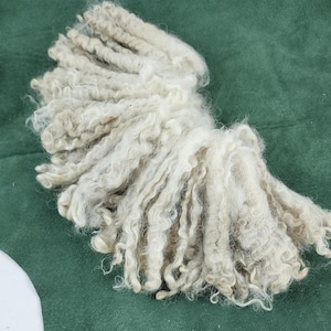 May include: A close-up of a bundle of raw, unprocessed wool fibers. The fibers are a light, natural color, with a slightly off-white or beige hue. The wool has a crimped, curly texture, and is arranged in a fan-like shape against a green background.