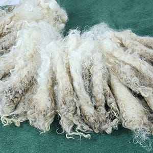 May include: Close-up of raw, unprocessed wool fibers. The fibers are a mix of off-white and light brown, with a crimped texture. The wool is arranged in a loose, fluffy pile against a green background, suggesting a natural textile material.