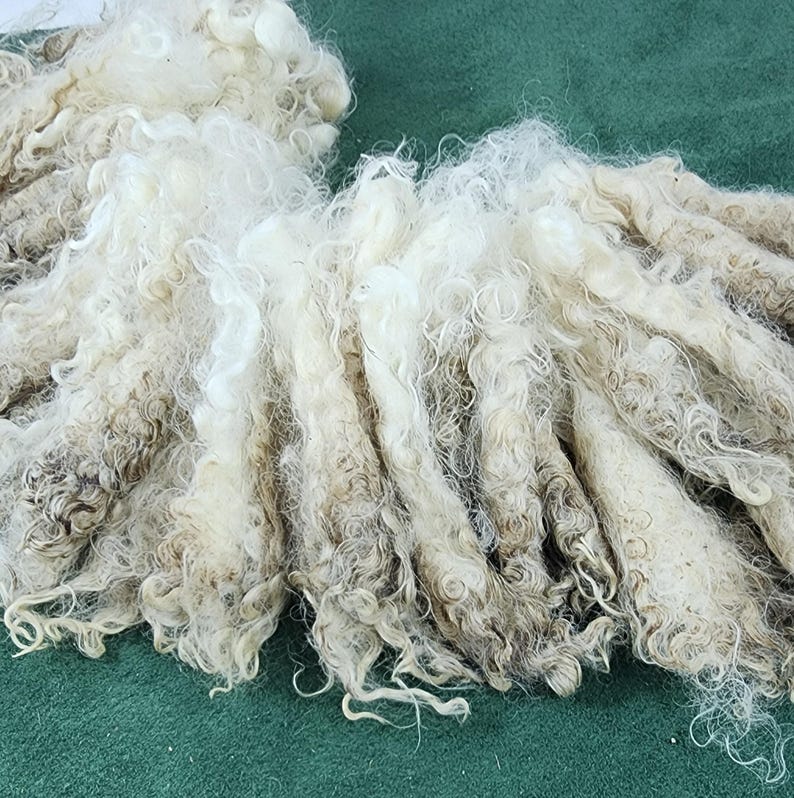Wool Unprocessed Raw Unwashed Fine Kid Mohair Locks From Brittany: 4-4.5